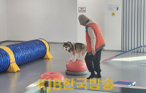 반려동물 문화센터- 순천 실내놀이터.png