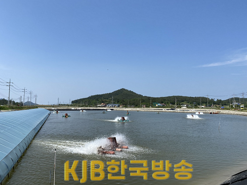 사진(1).png