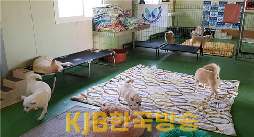 image03.png