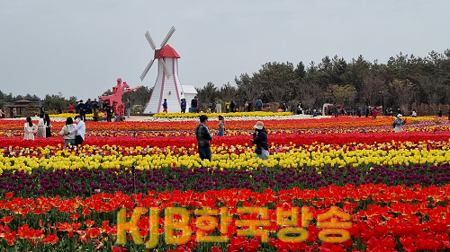 사진 (2) (2).png