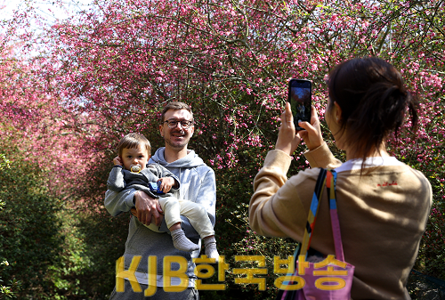 1-2.서부해당화 (3).png