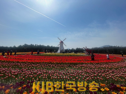 사진 (1).png