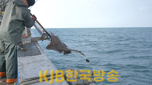 사진 (2).png