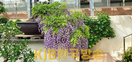 사진 (2).png