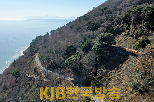 완도군, ‘섬 숲 경관복원 사업’ 추진(사업 대상지 약산면 해동리).png