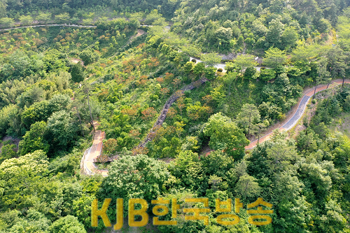 완도군, 편백숲 산림공원에 어싱 로드 조성 (1).png