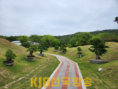 사진 (1).png