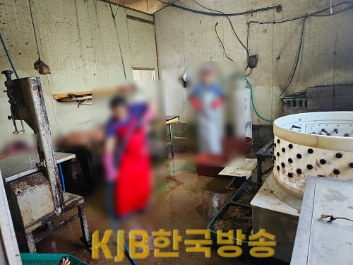 현장1.png