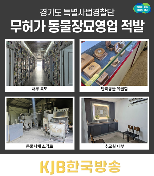 그래픽2.png
