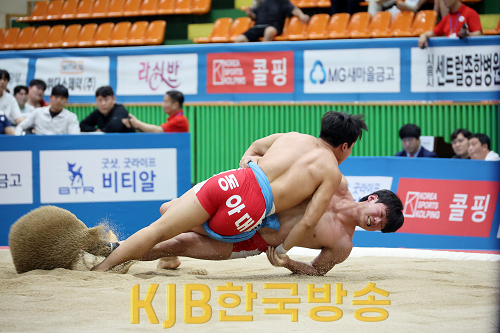 씨름대회 (1).png