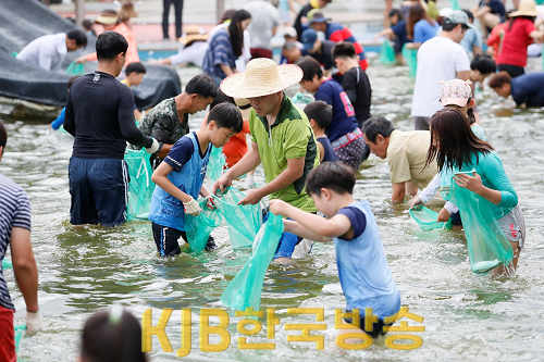 1-2 제16회 보성전어축제가 8월 16일 개막한다.(2017년 전어잡기 체험 사진).png