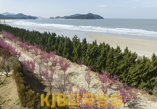 사진 (2).png